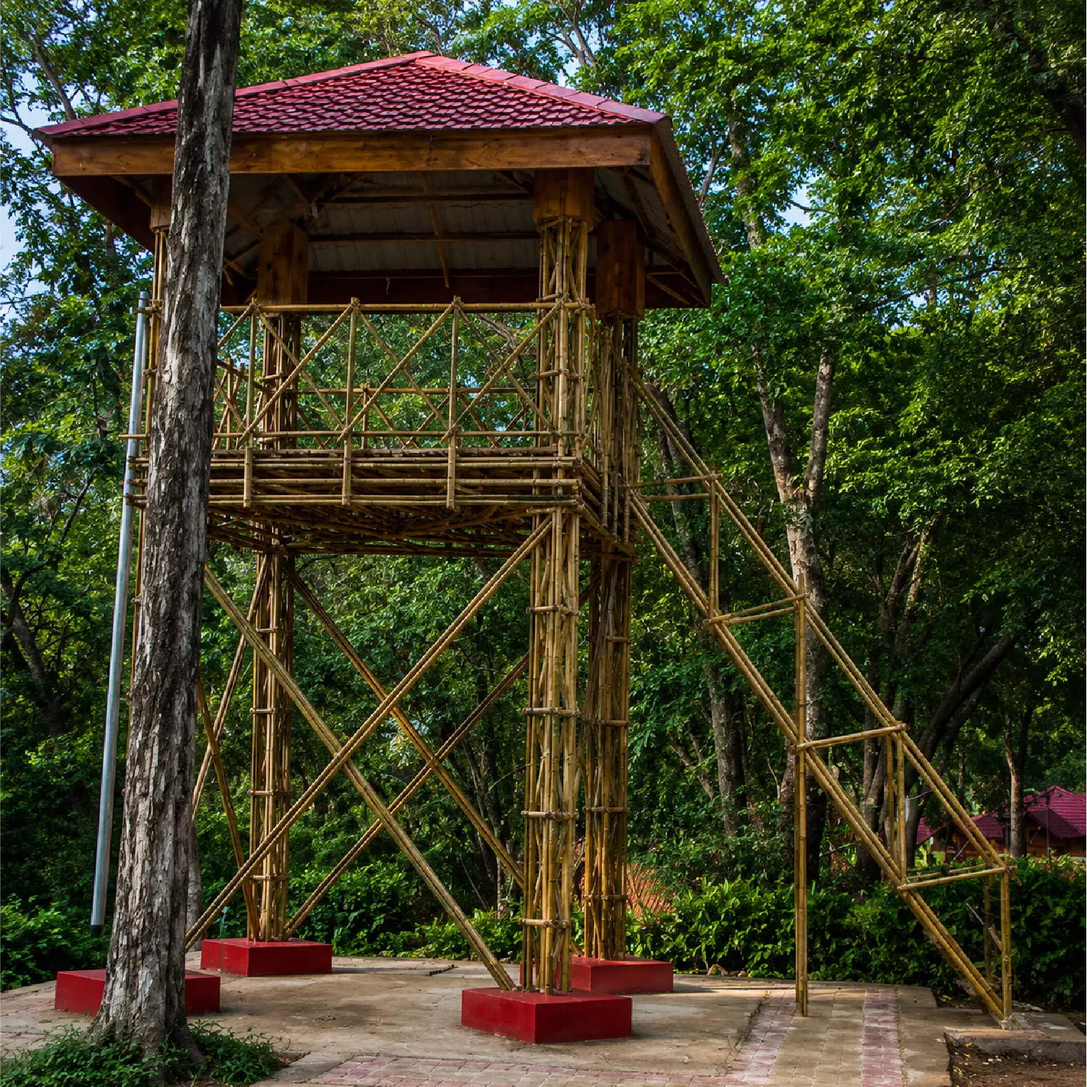 Watch Tower