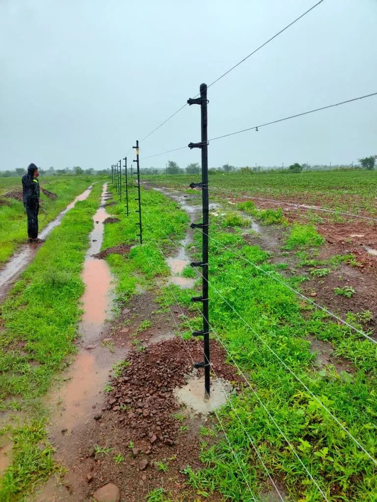 Boundary demarcation anchor poles