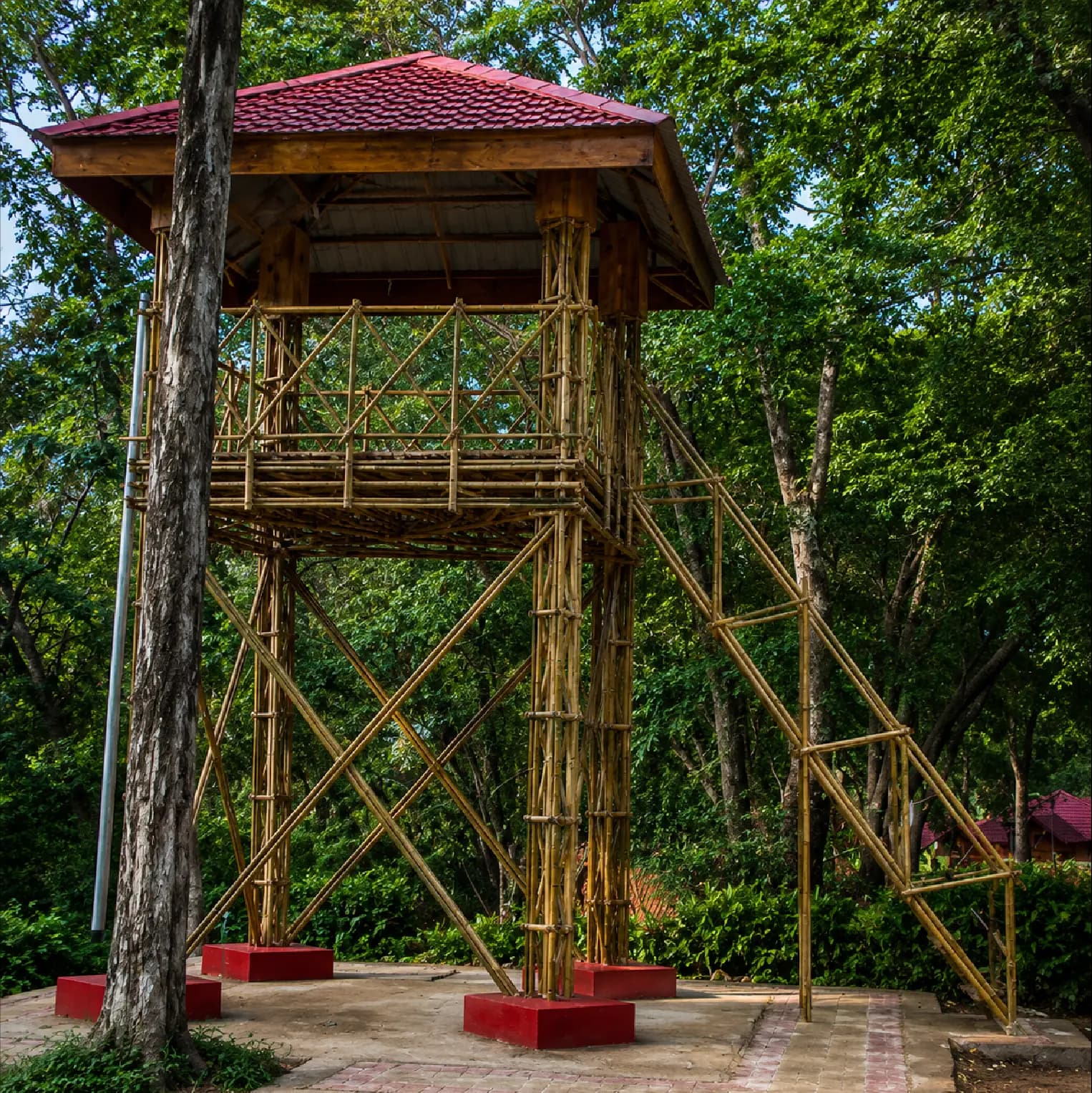 Watch Tower