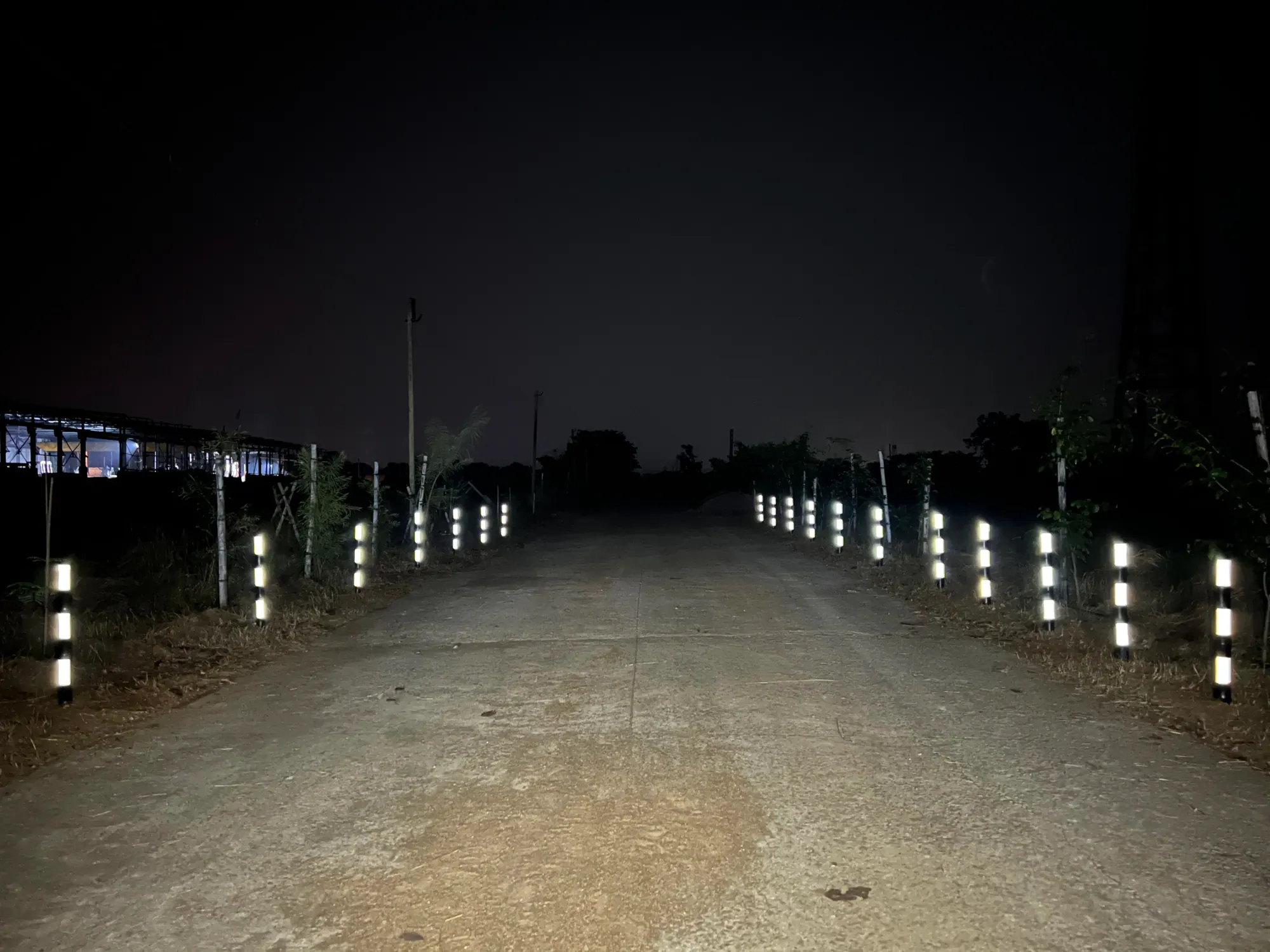 Bamboo fencing-pole delineator reflecting light at night for road safety