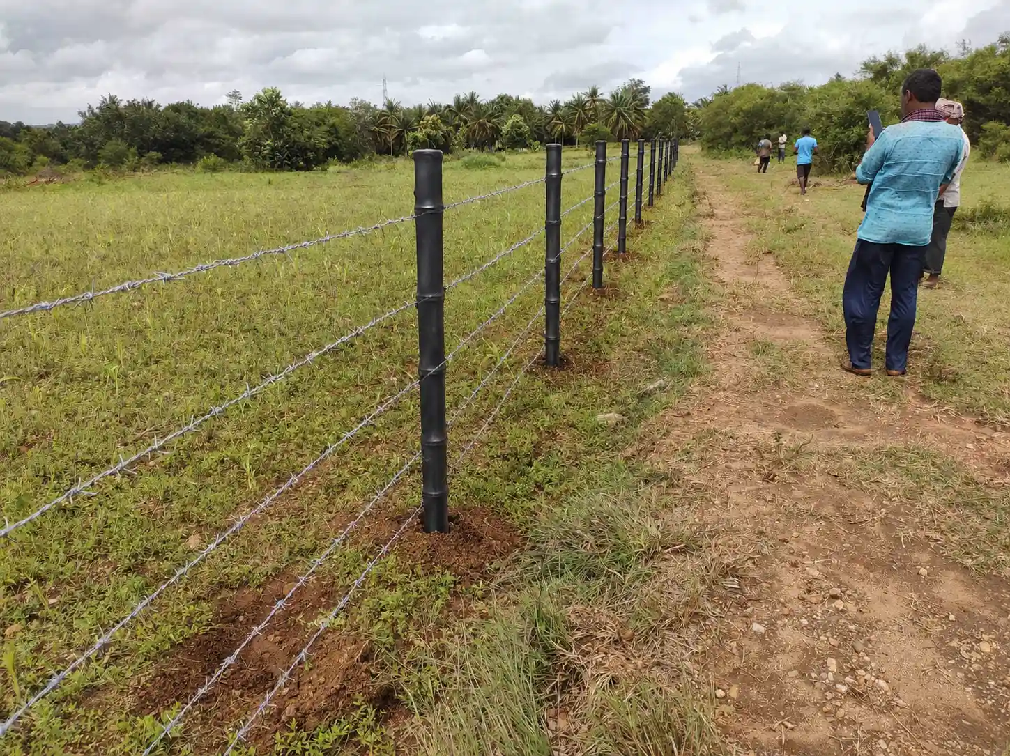 Bahu-Balli bamboo fencing poles, anchor poles, trellis supports, tree guards and light poles